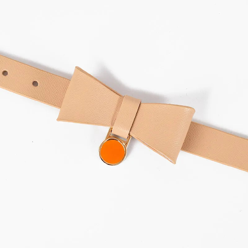Leather cat collar in brown with matching ring and rope on a neutral background