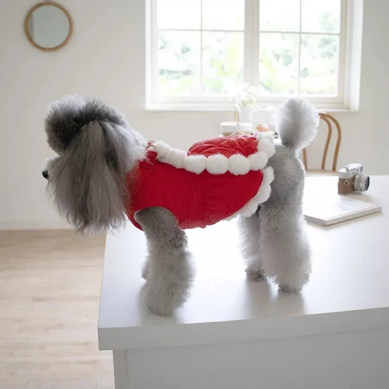 Red Chinese-style pet clothing with fur collar and Chinese knot for autumn winter for dogs and cats