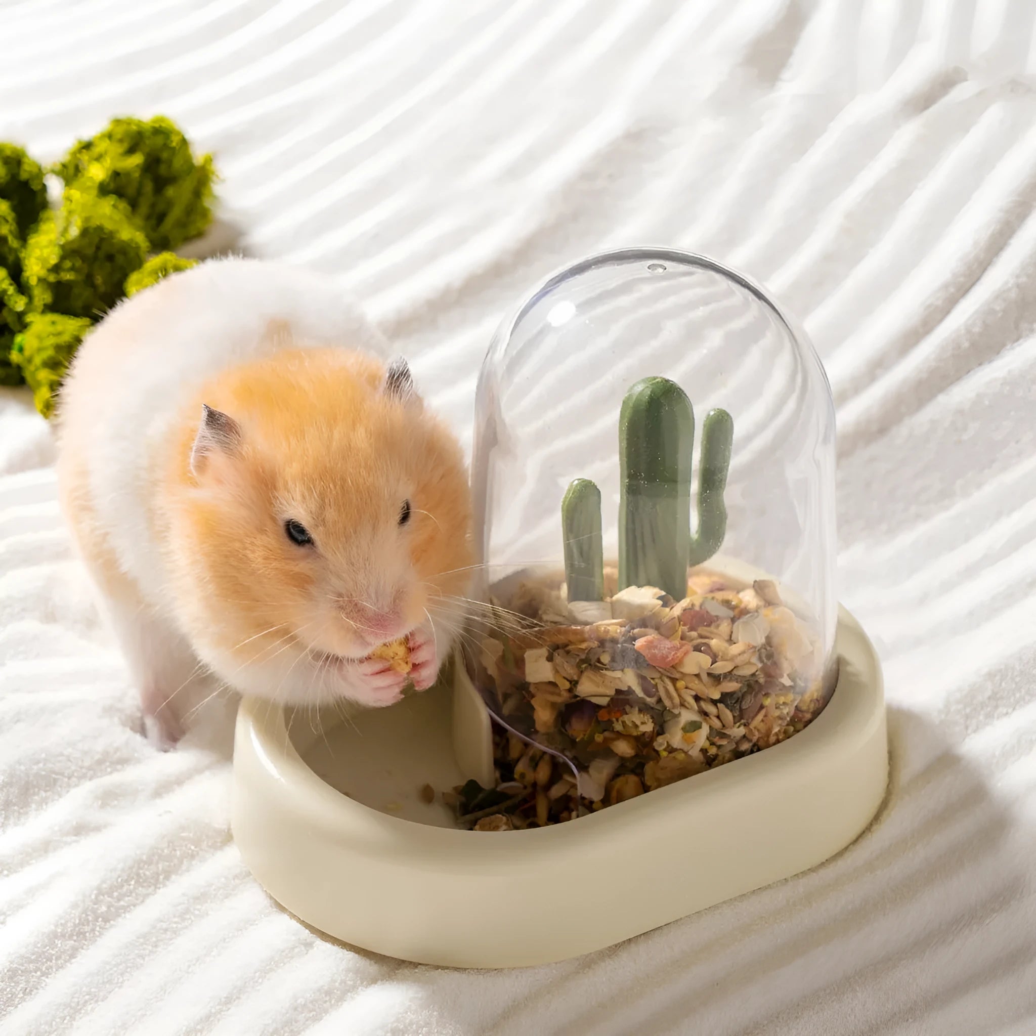 Creative cactus automatic hamster feeder 190ml grain storage Milky Mint Green or Vanilla Warm Yellow