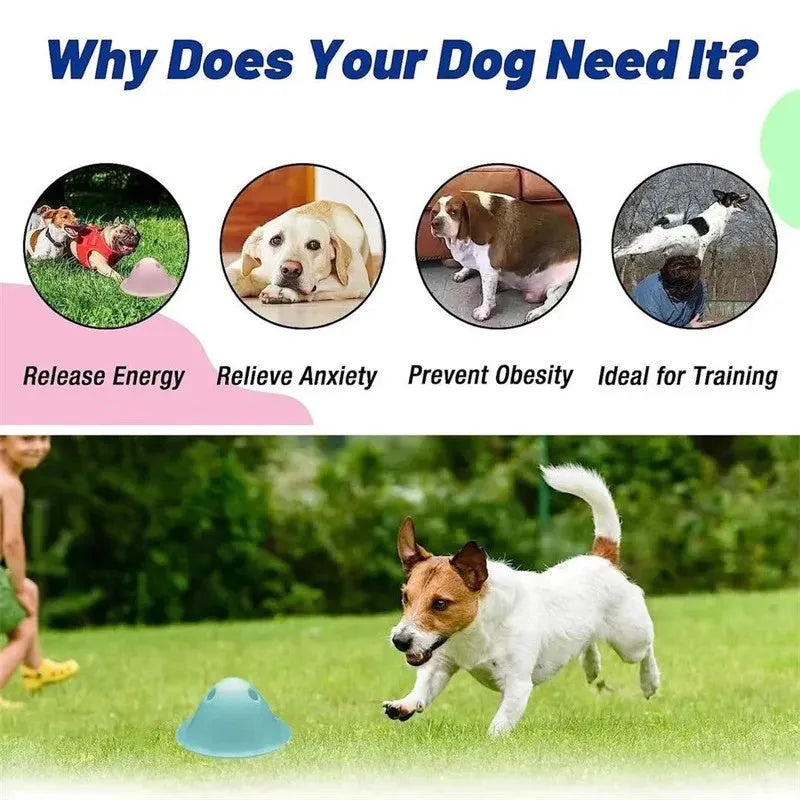 Hidden dog chew toy in green, 140mm PP interactive puzzle with treat slot on smooth floor