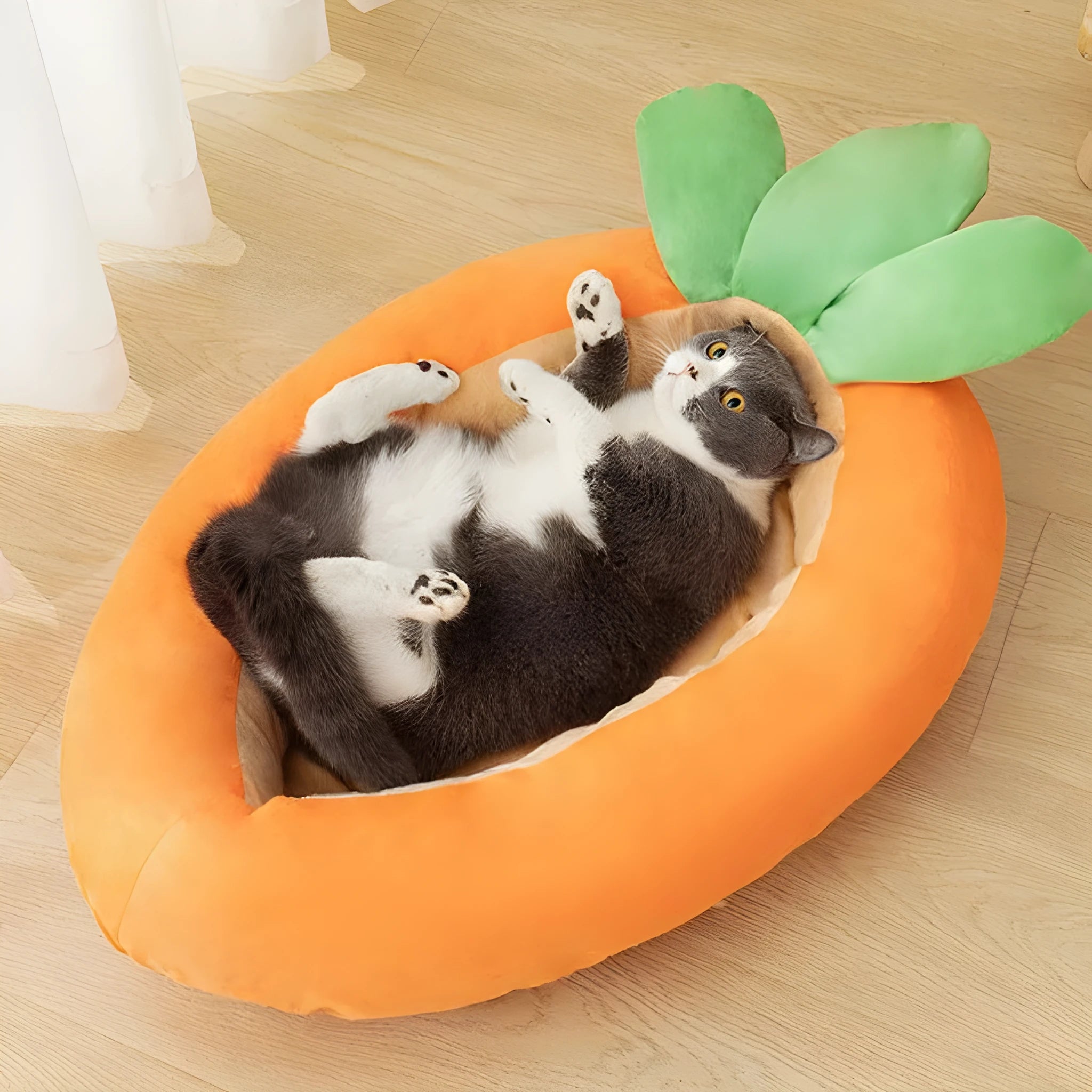 Orange carrot cartoon pattern pet mattress for dogs with removable cover