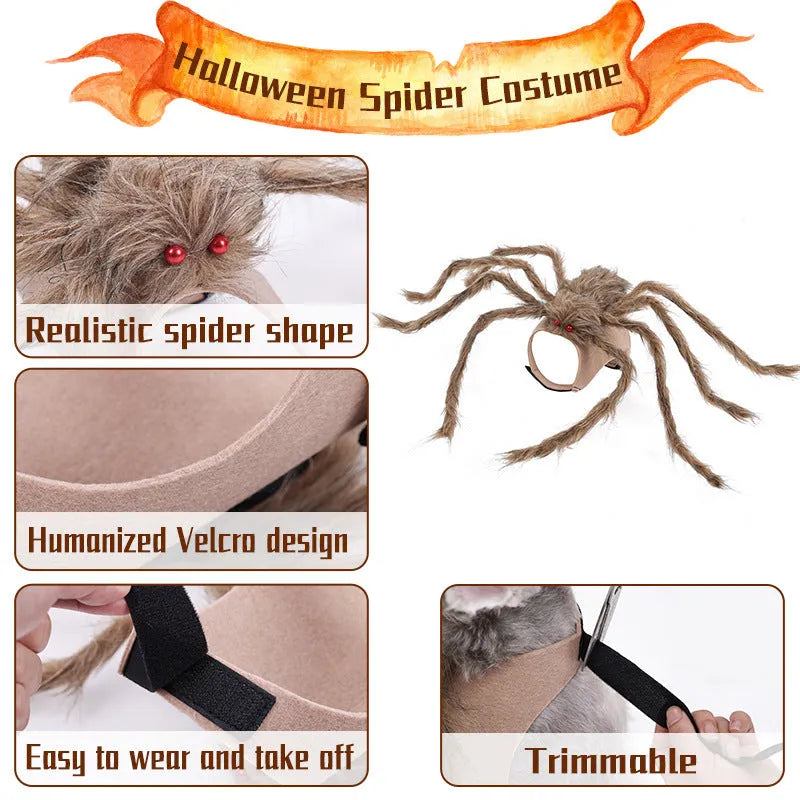Halloween spider costume for pets in polyester with elastic openings