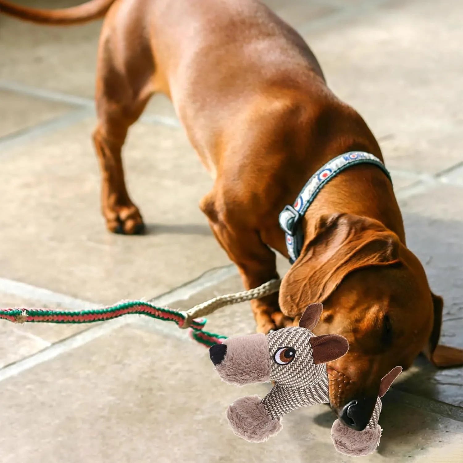 Large dog squeaky plush toy with squeaker, suitable for medium and large dogs, in Monkey design