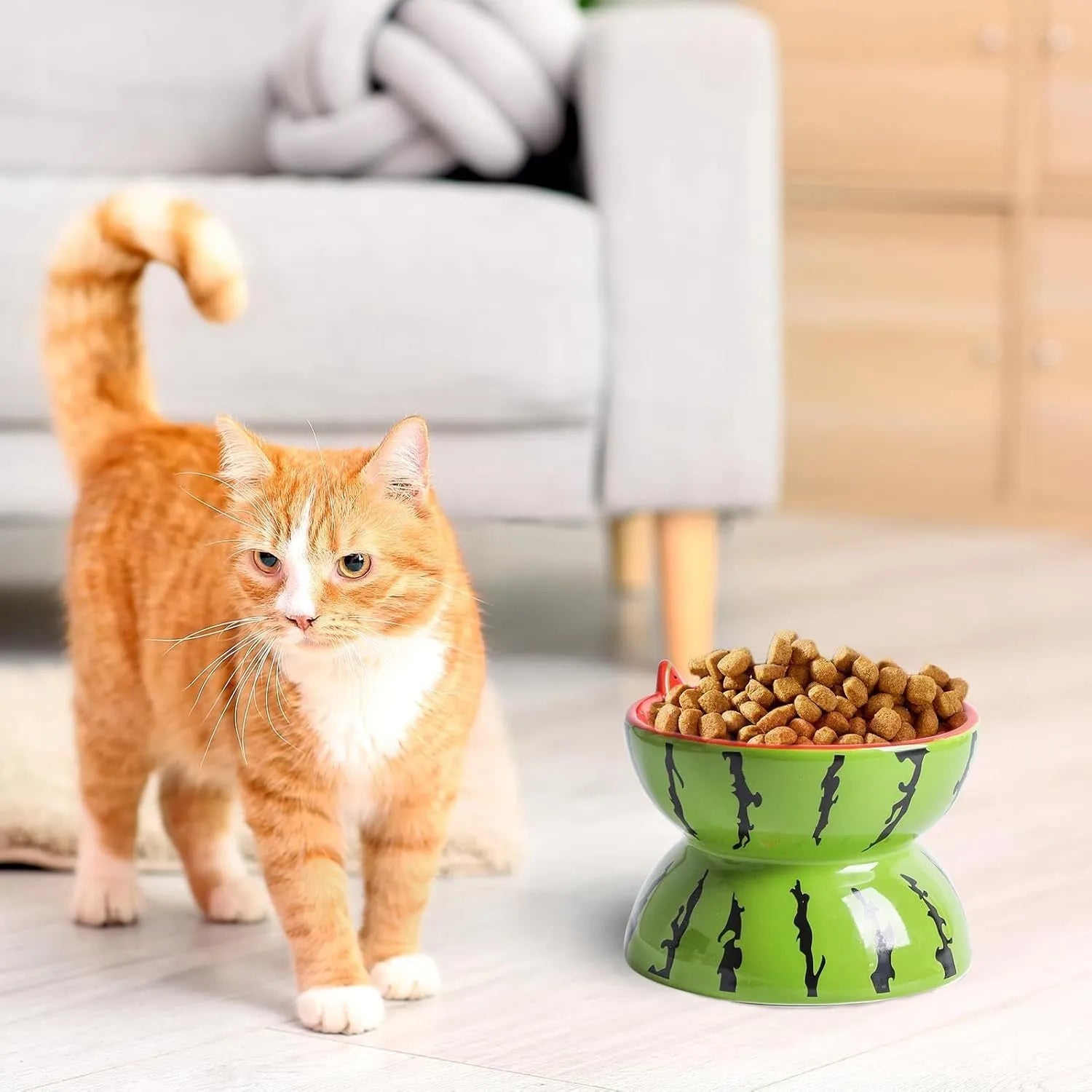 Ceramic elevated cat bowl with tilted design and decorative pattern