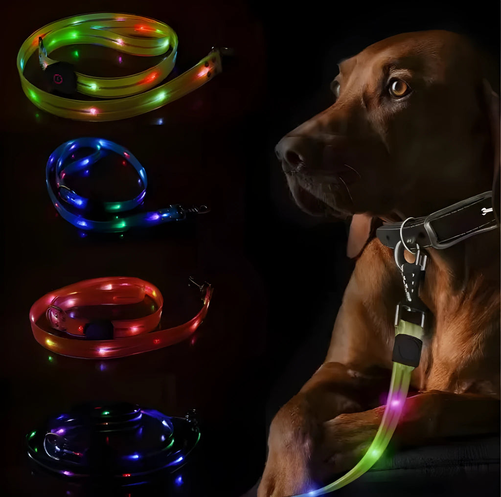 Luminous dog collar in fluorescent green with PVC rope construction and hand holding section