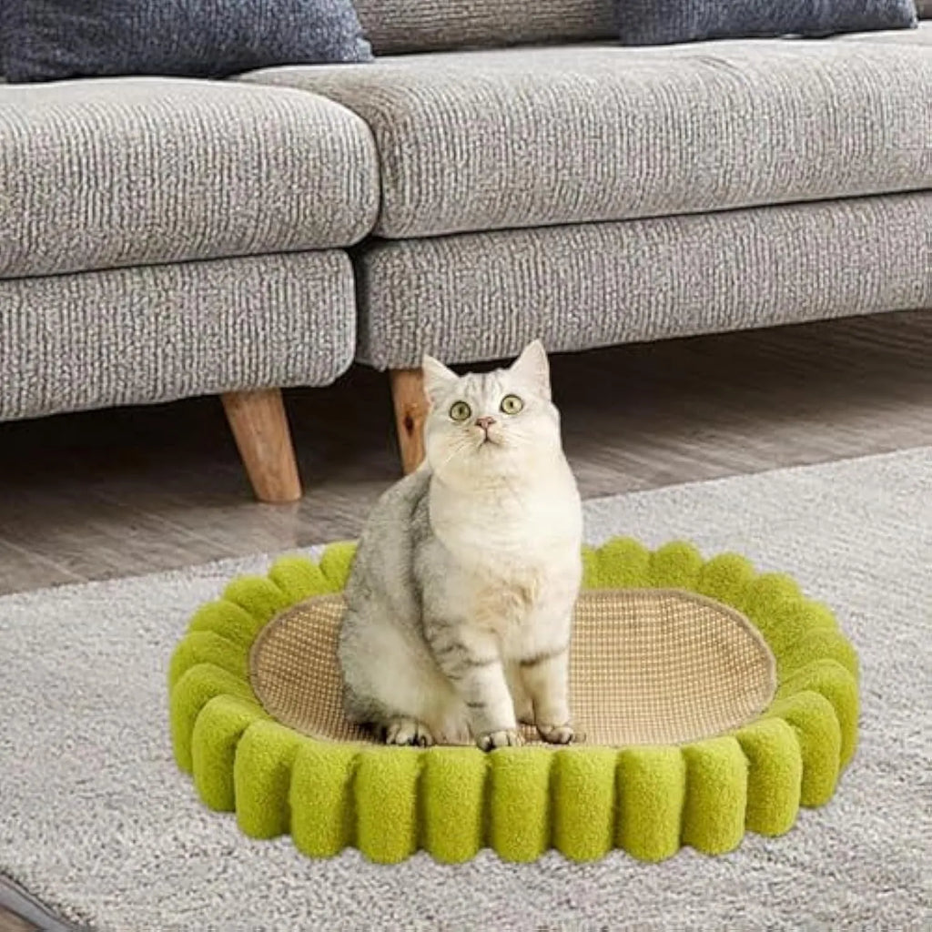 Green oval cat scratch pad bowl made of sisal, serving as a cat scratcher and bed lounge