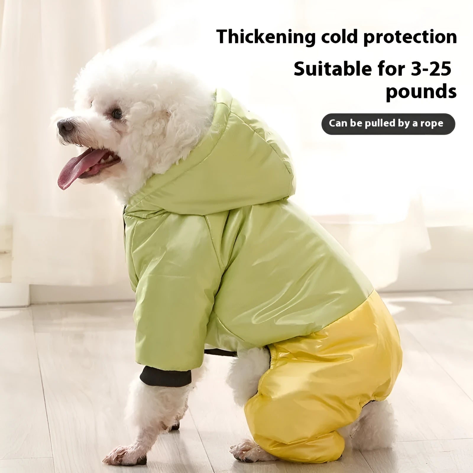 Green cotton dog coat with four-legged design and padded lining on a dog outdoors.