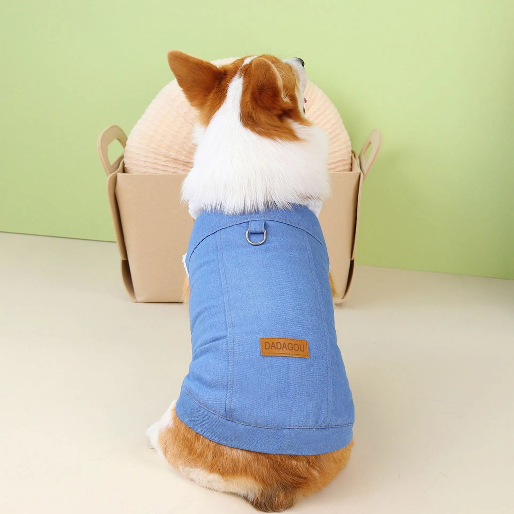Corgi wearing denim cotton dog coat in dark blue with button-up front