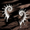 Three-dimensional conch stud earrings with matte finish and irregular design