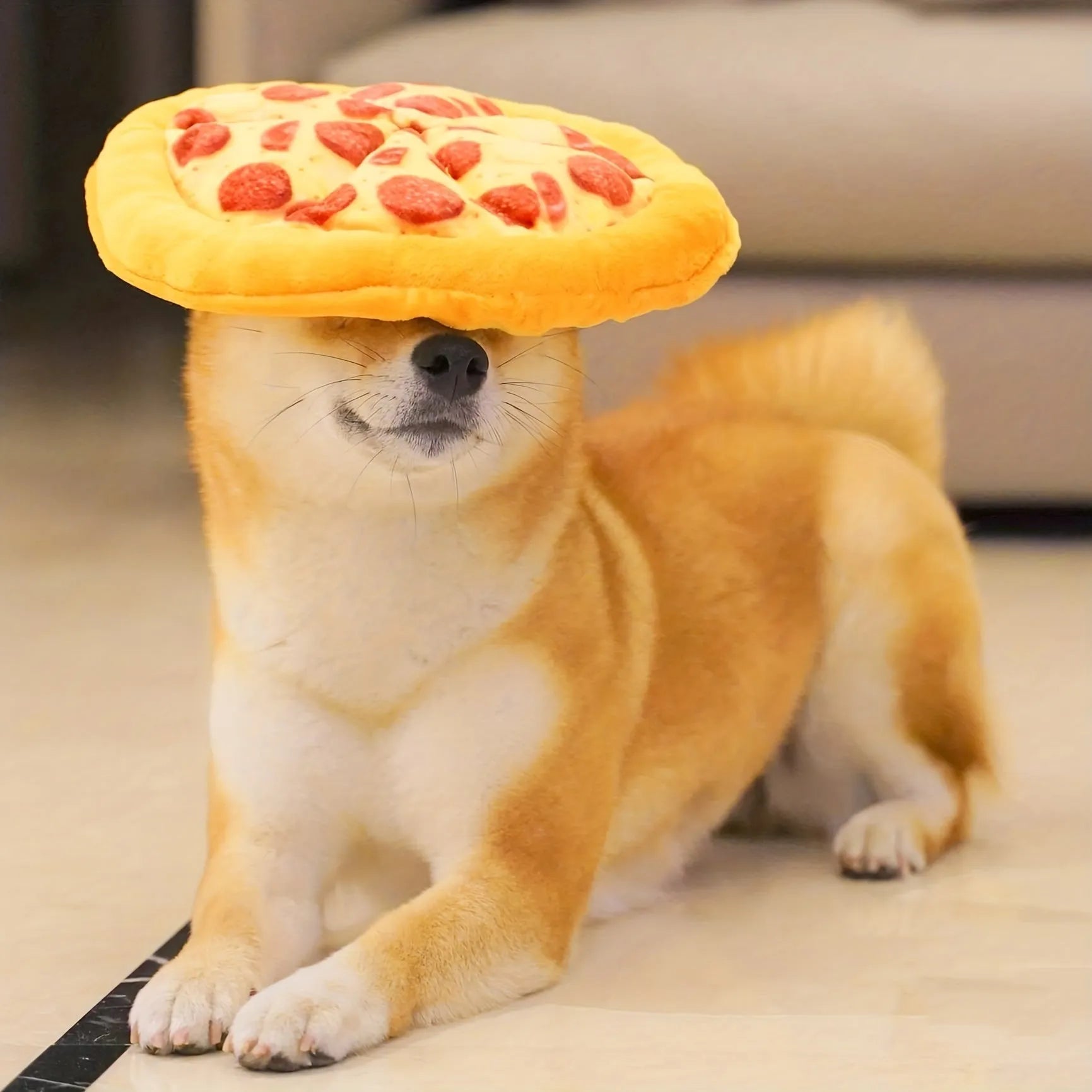 Yellow pizza slice dog chewing toy with squeaker for small to medium dogs