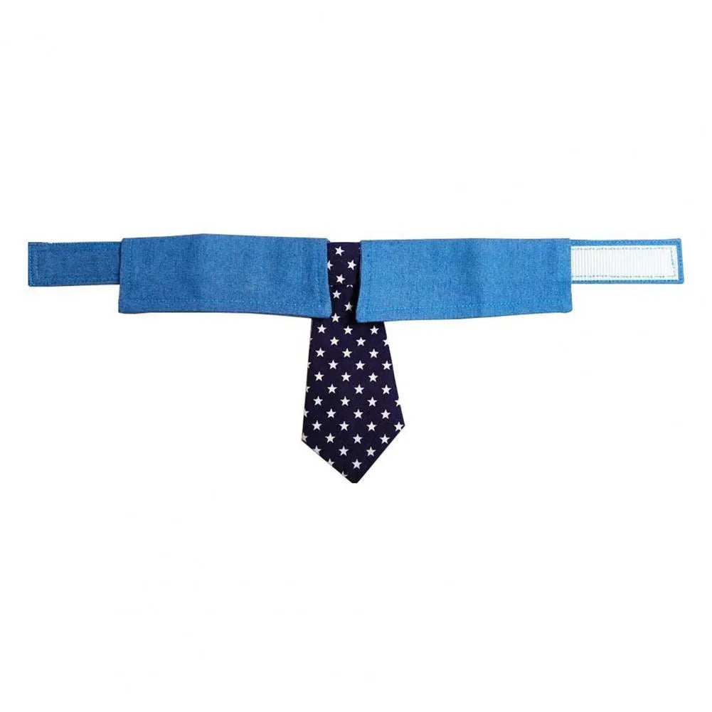 Adjustable denim star pattern dog collar with fastener tape on white background for weddings and formal events