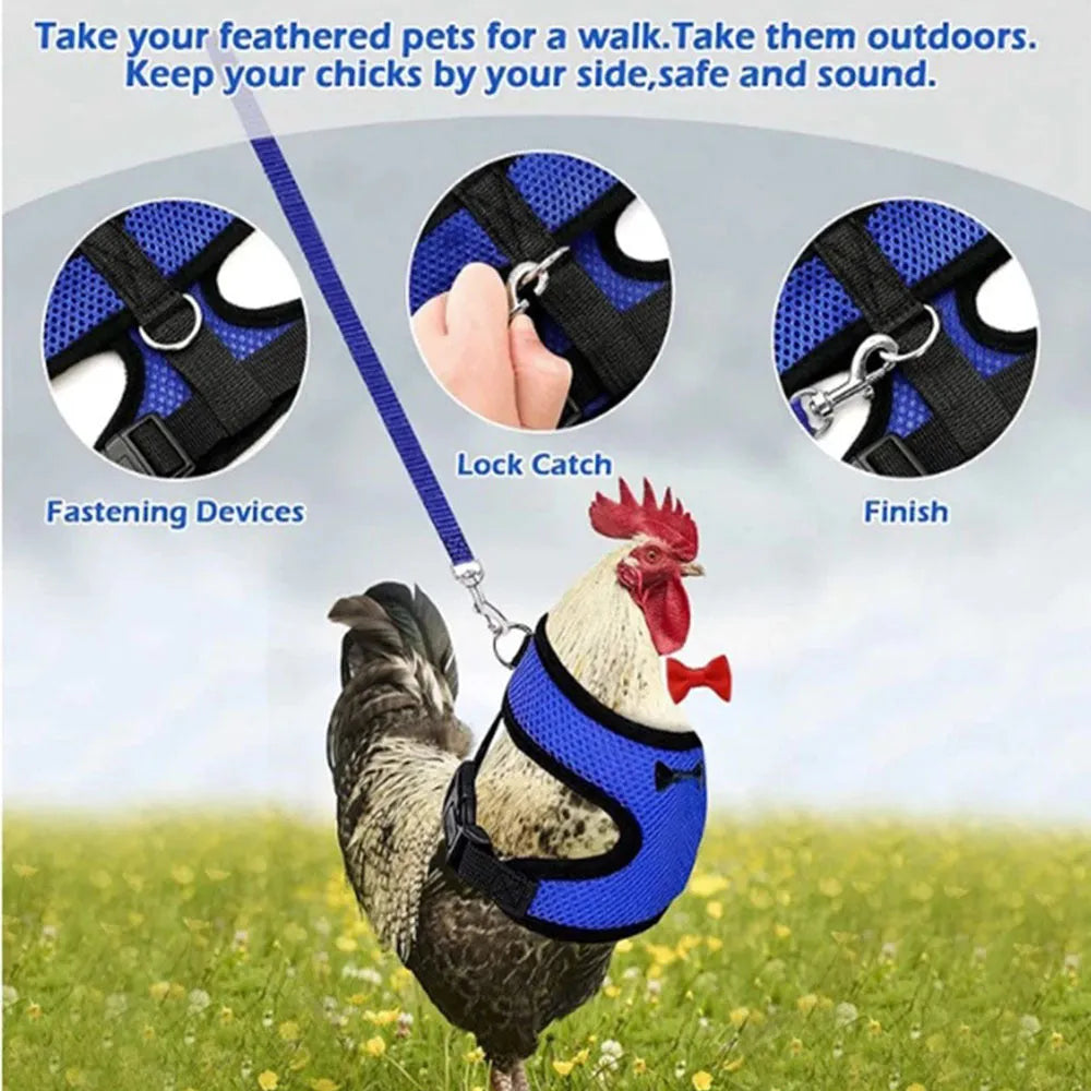 Pet chicken duck poultry vest harness with matching collar bow and 110cm traction rope on a bird