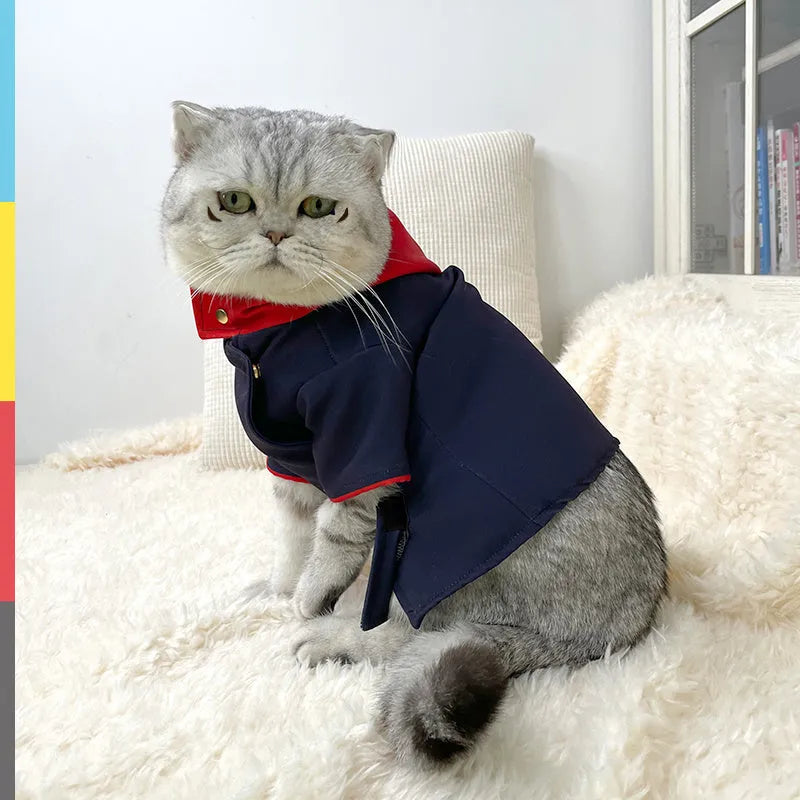 Tiger stripe hoodie for cats and dogs worn as photo prop costume