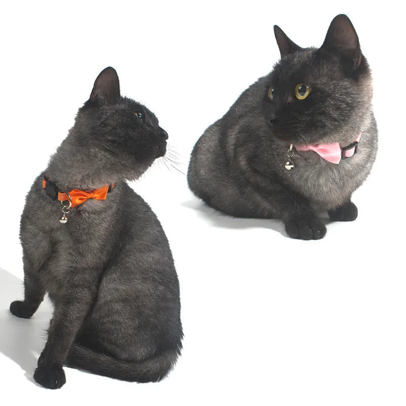 Adjustable nylon cat collar with bell decoration in multi-colour striped design