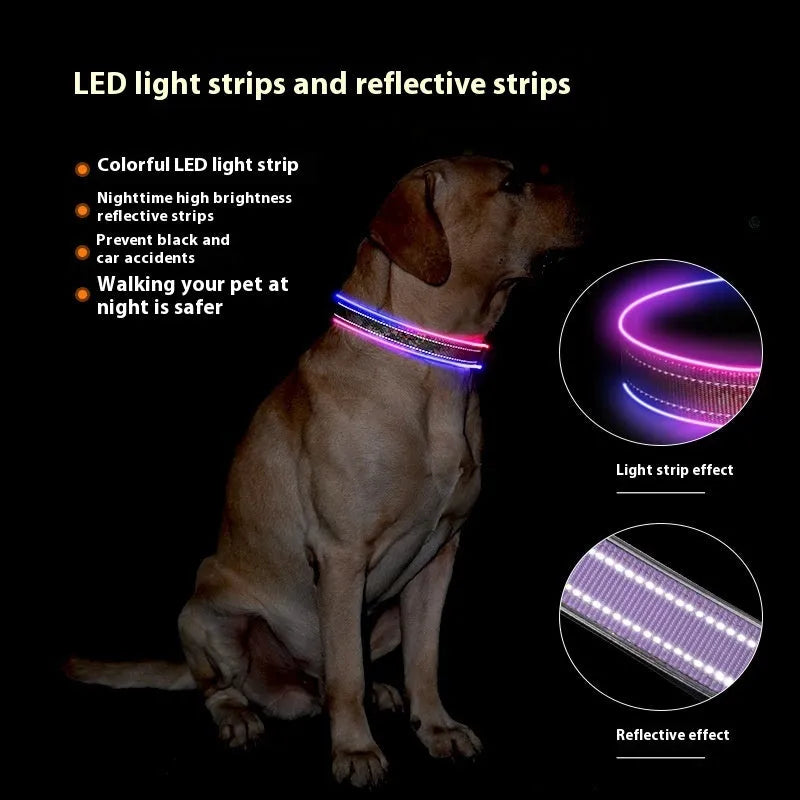 Blue and green plaid LED luminous dog collar with reflective stripe and USB charging, on a white background