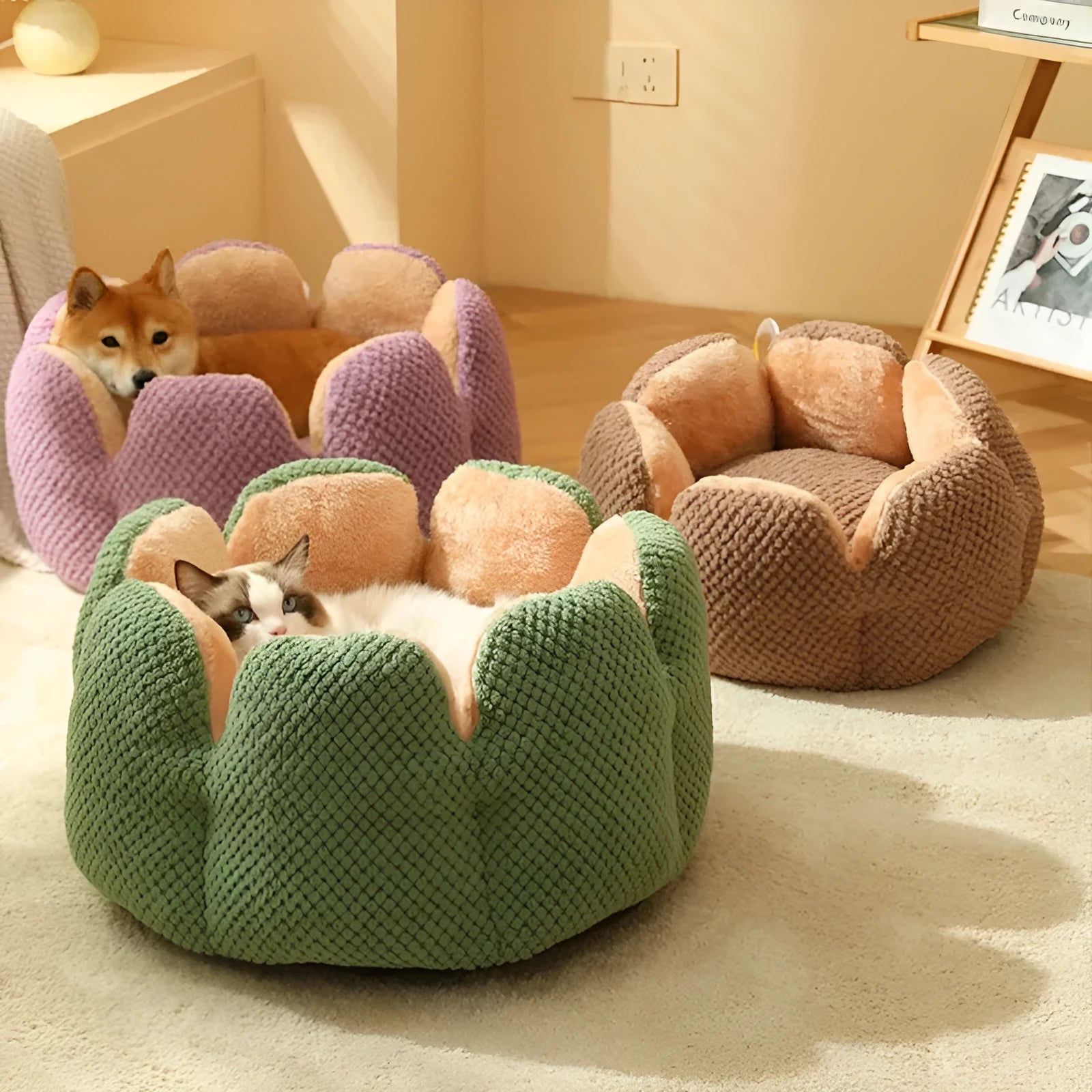 Green cactus petal shaped cat bed cave design with soft plush surface and non-slip bottom on hardwood floor