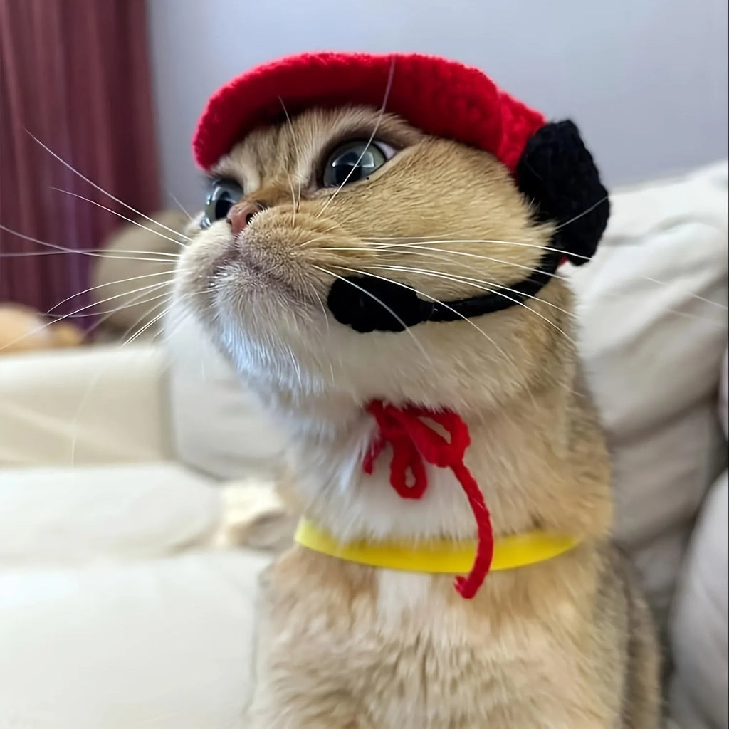 Handmade cream cotton knitted sweater and chef hat outfit on a small cat for a birthday costume.