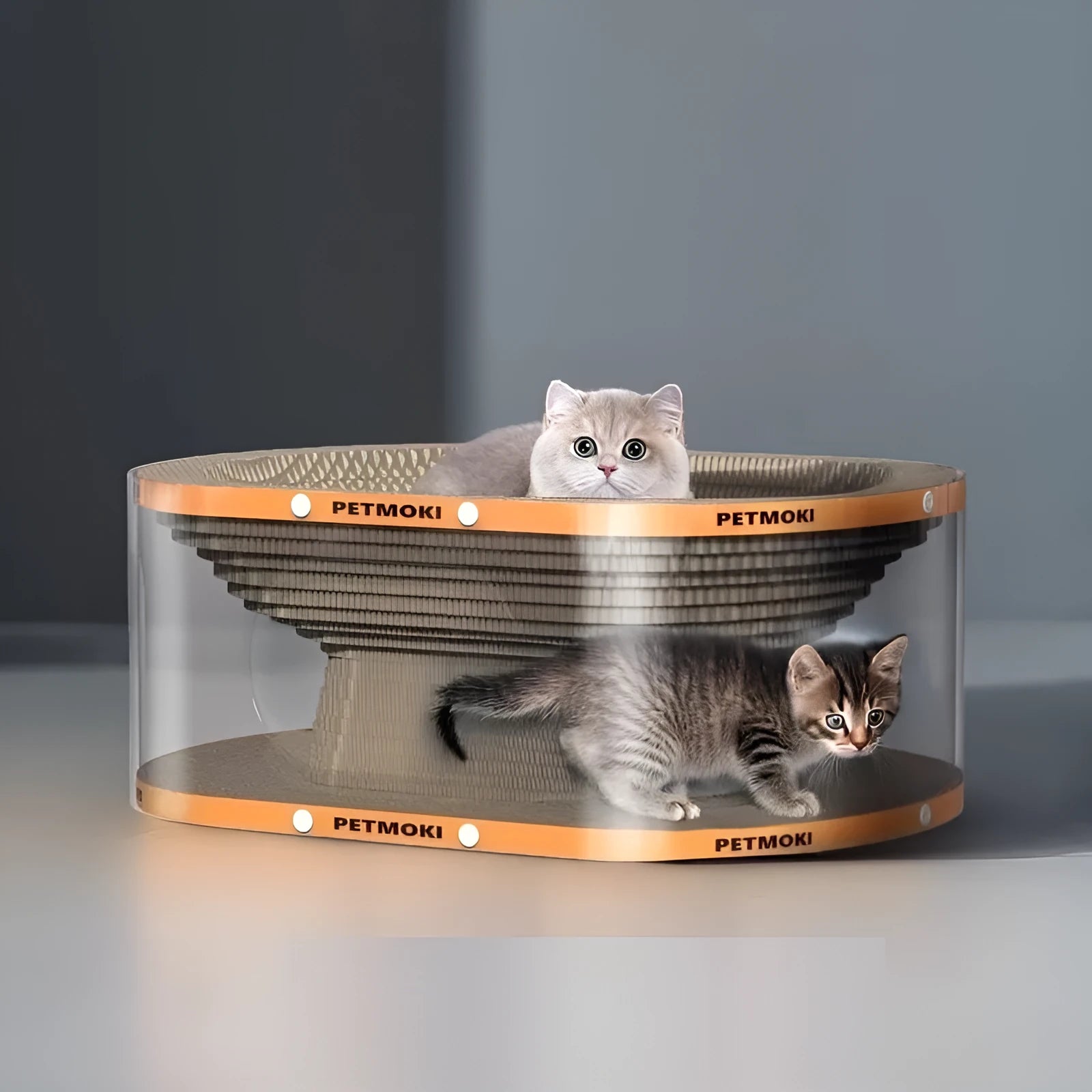 Transparent white PVC and cardboard cat scratch board with integrated tunnel cat bed