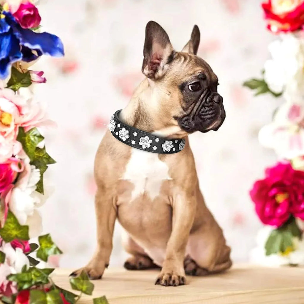 Close-up of a black PU leather dog collar with a studded rhinestone flower pattern and a metal D-ring.