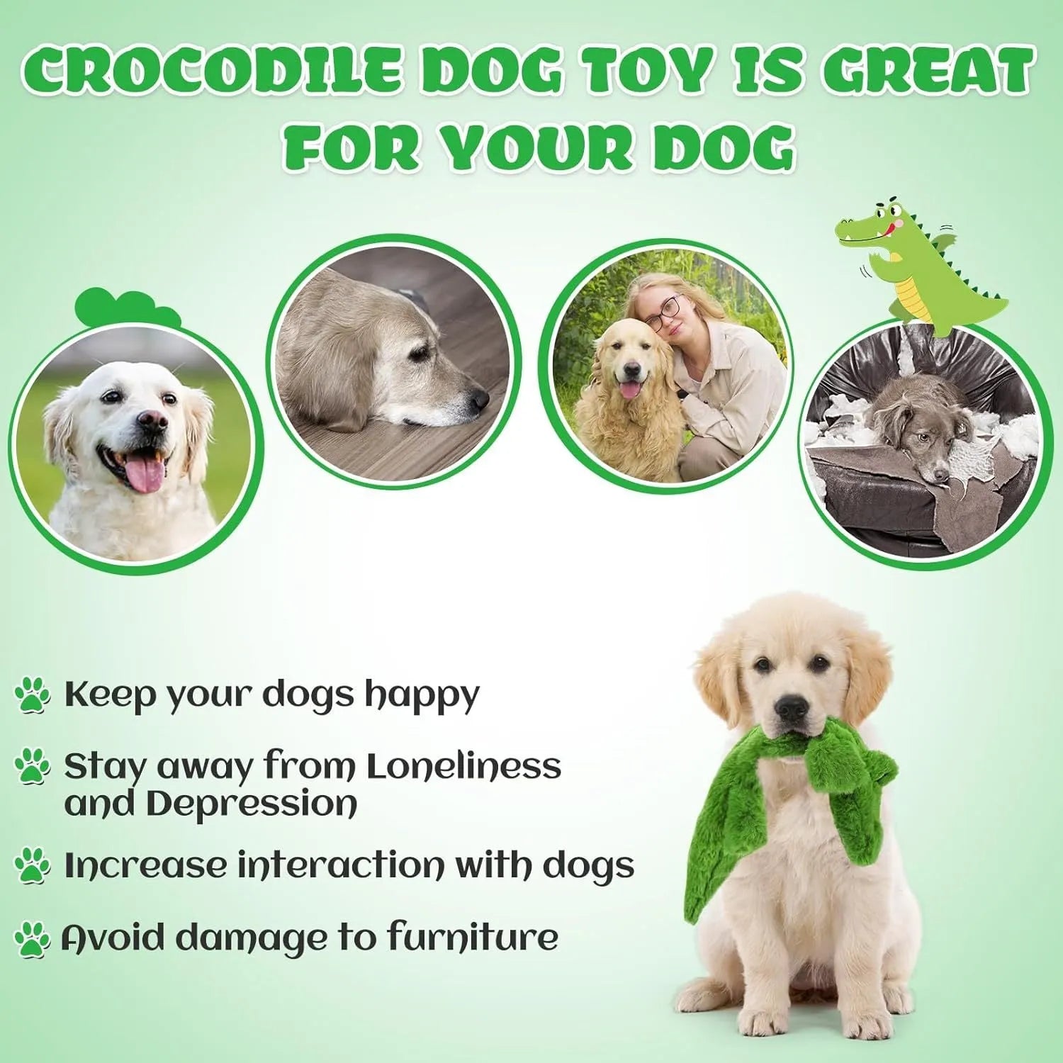 Green crocodile squeaky dog toy with crinkle tail for aggressive chewers