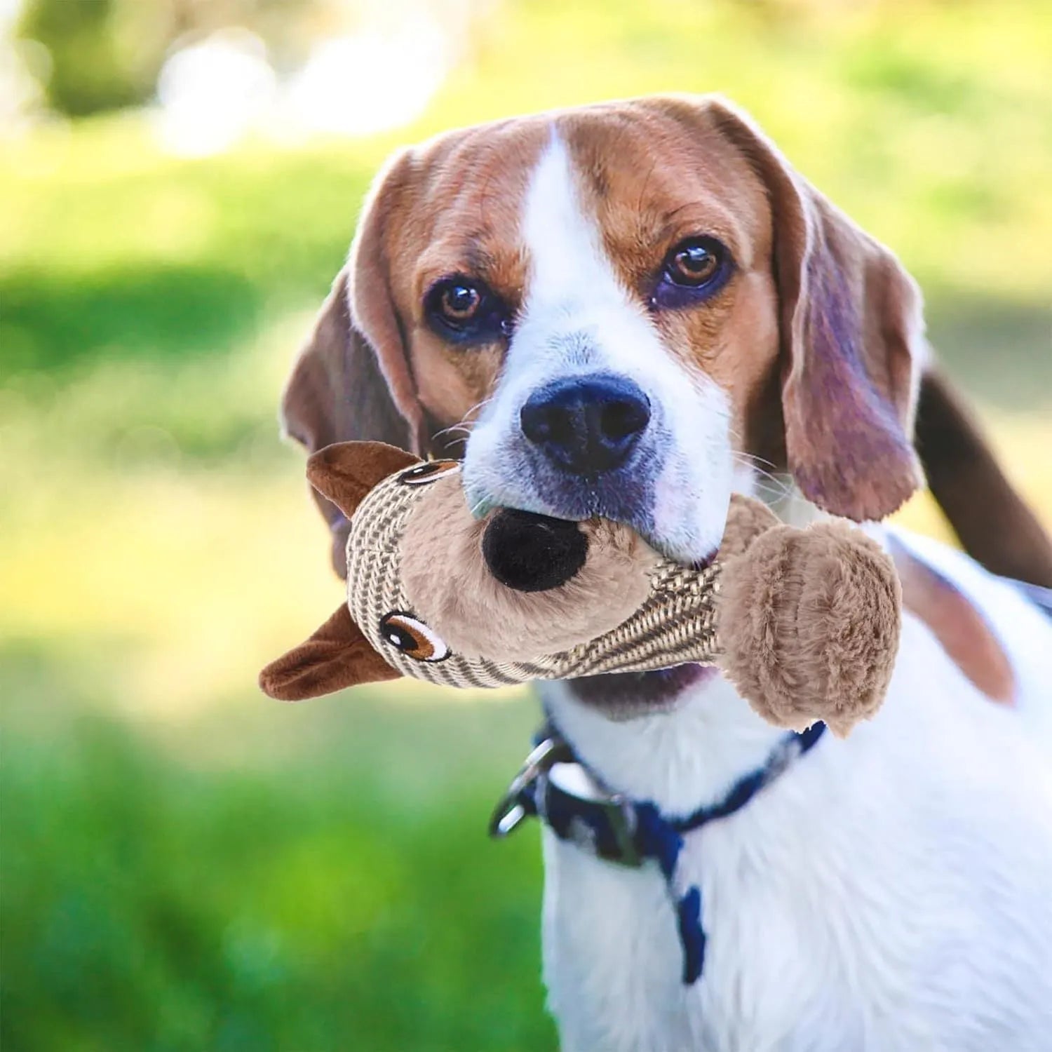 Large dog squeaky plush toy with squeaker, suitable for medium and large dogs, in Monkey design